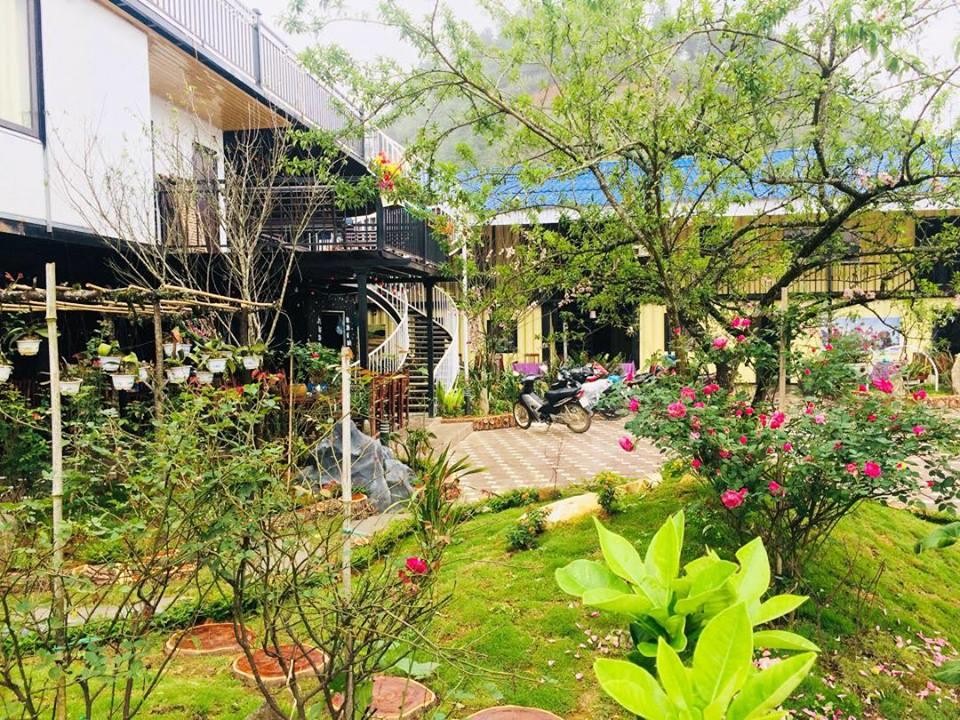 Thiết kế container homestay